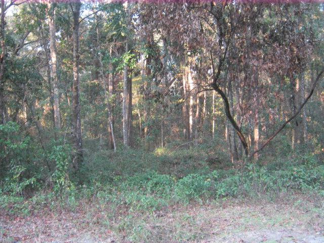 212th Ave - Photo 1