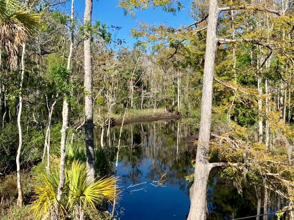 751 County Road 326 - Photo 1