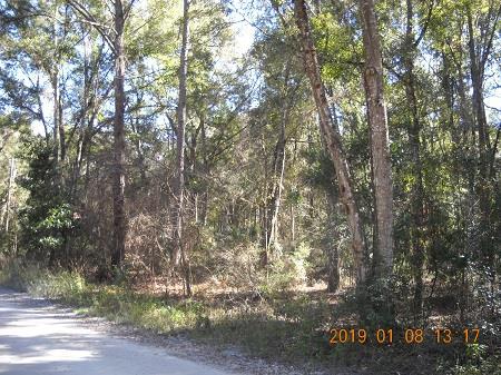 Lot 3 824th Street - Photo 1