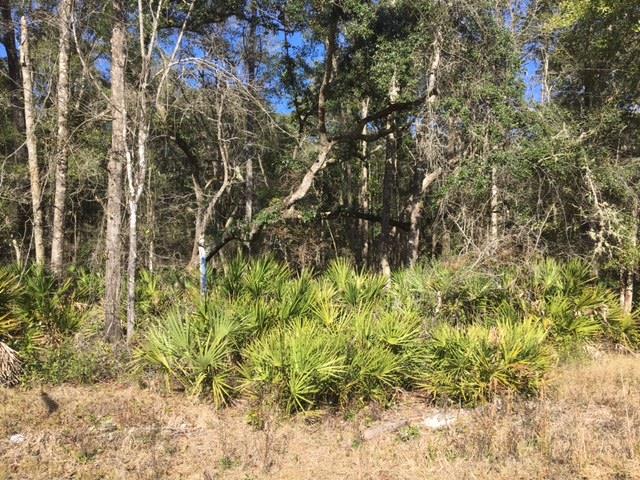 4.77 acr 189 Ave. - Photo 1