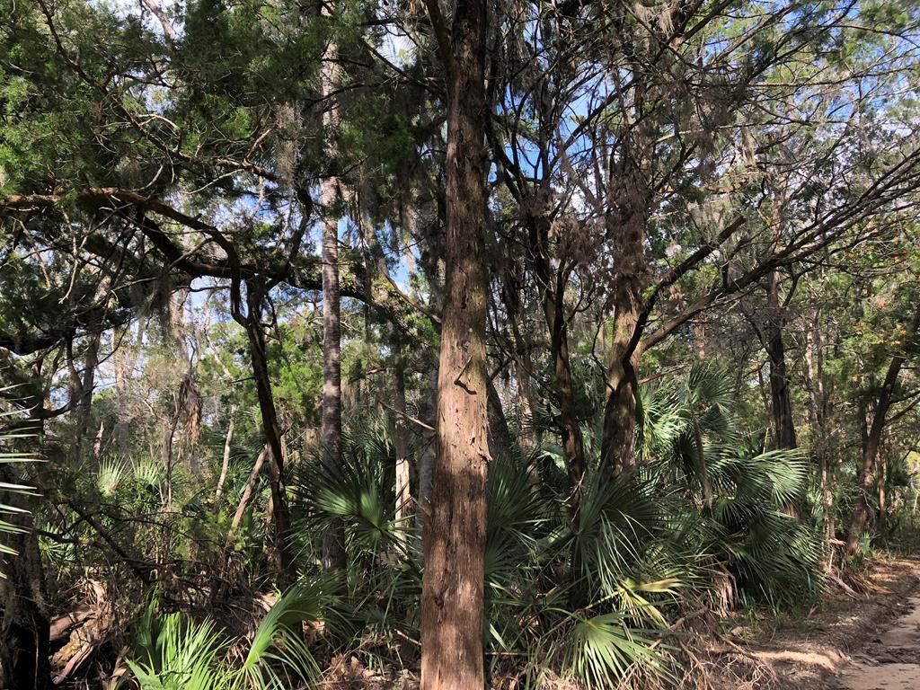 Lot 10 Granger Rd - Photo 1