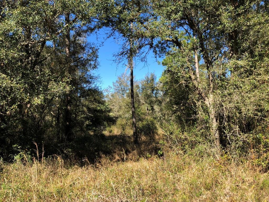000 Granger Road - Photo 1