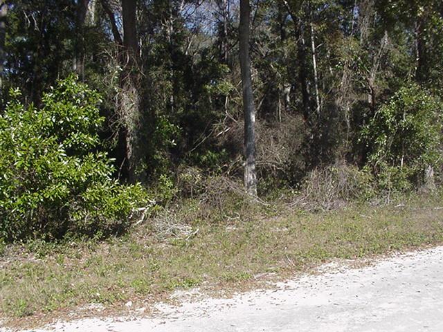 Lot 43 162nd St. - Photo 1