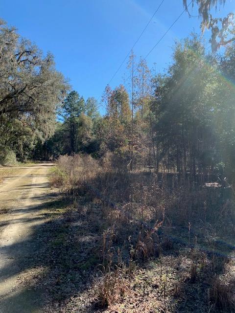 Lot 12 58th Ave - Photo 1