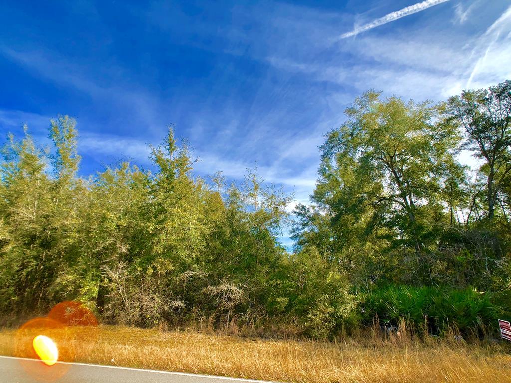 000 55 Avenue - Photo 1