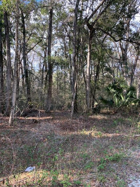 Lot 16 812th Street - Photo 1