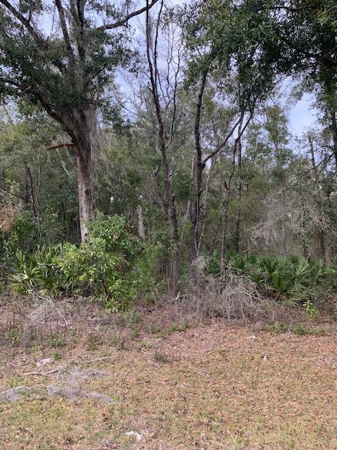 Tract 26 410th Street - Photo 1