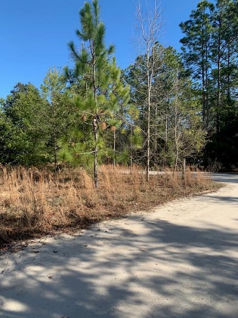 Lot 6 464th Ave - Photo 1