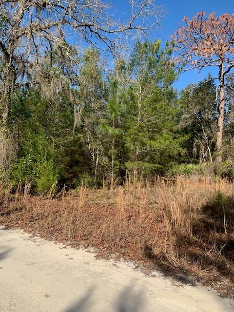 Lot 7 464th Ave - Photo 1
