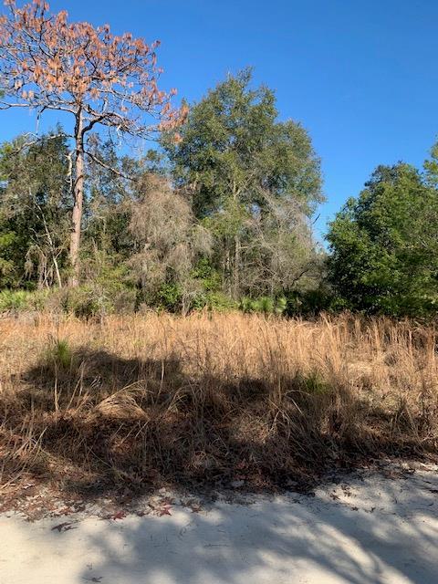Lot 6&7 464th Ave - Photo 1