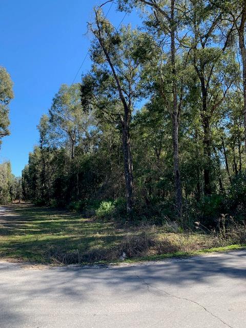 Lot 10 790th Street - Photo 1