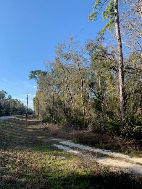 Lot 9 967th Street - Photo 1