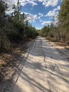 TBD Sr 47 - Photo 1