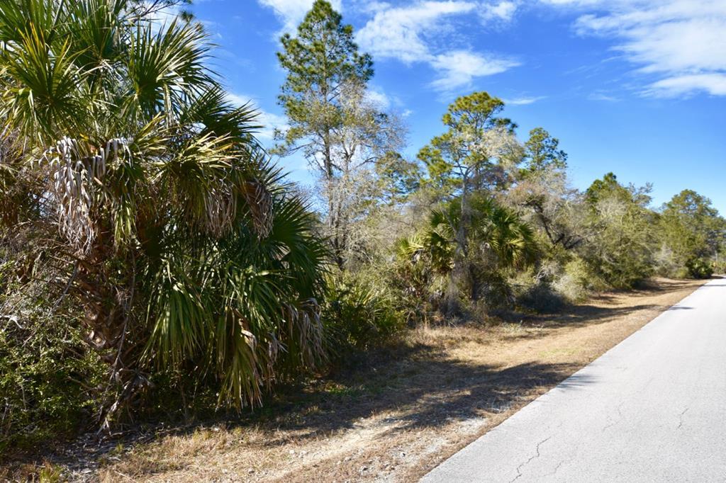 40 Acres Shiloh Rd. - Photo 1