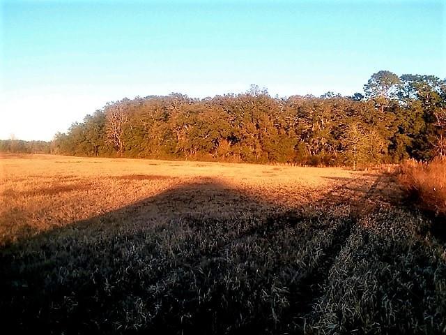102 Ct - Photo 1