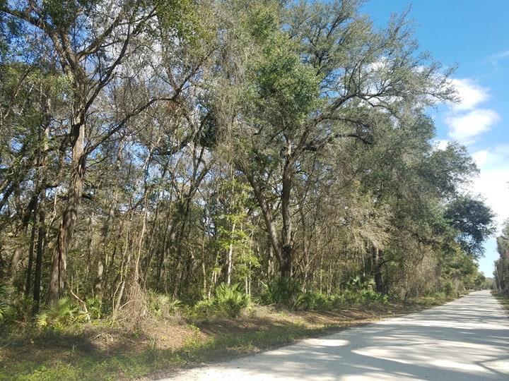 Lot 14 327TH AVE - Photo 1
