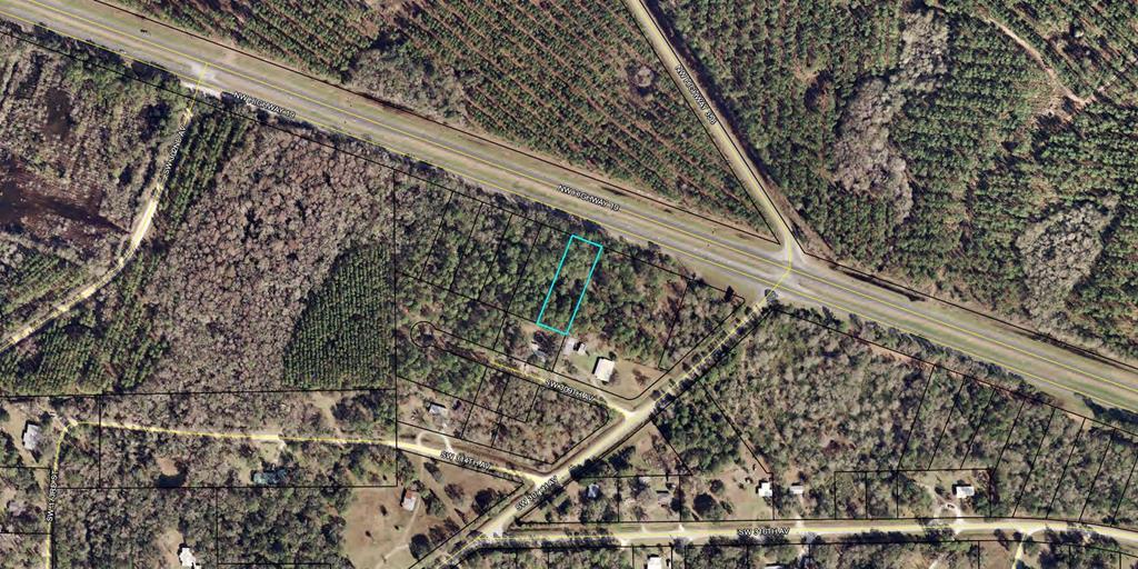 Lot 6 Us Hwy 19 - Photo 1