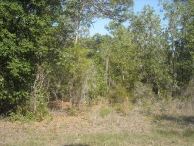 LOT 1 122ND AVE - Photo 1