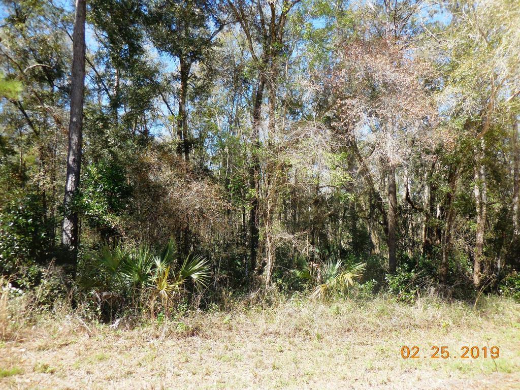 763 St. - Photo 1