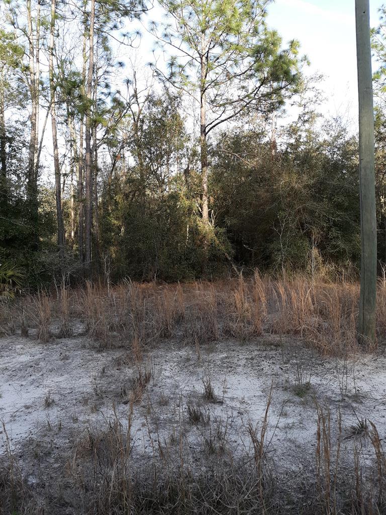 Lot 3 11th Ave - Photo 1