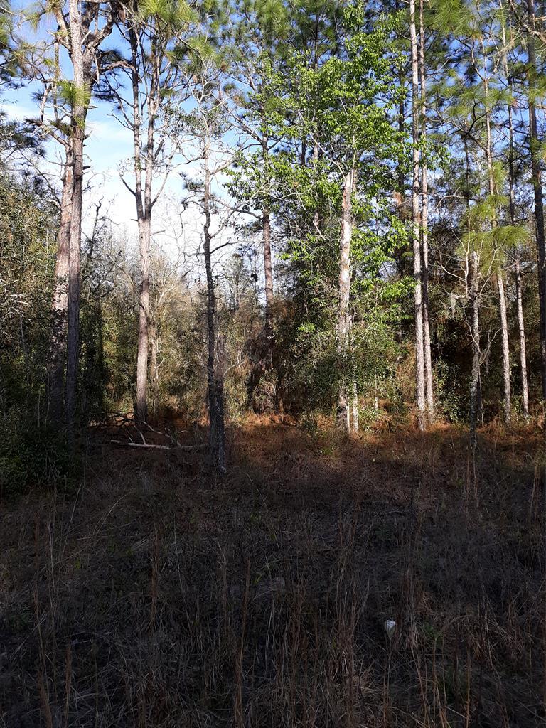 Lot 4 12th Ct - Photo 1