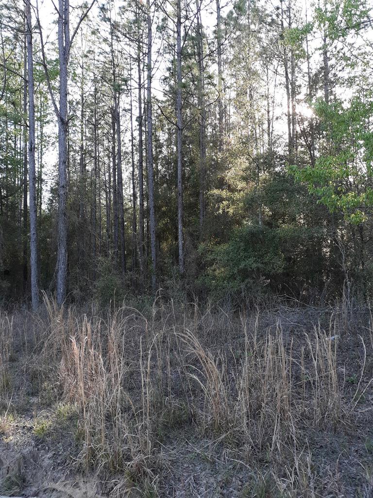 Lot 10 17th Ct. - Photo 1