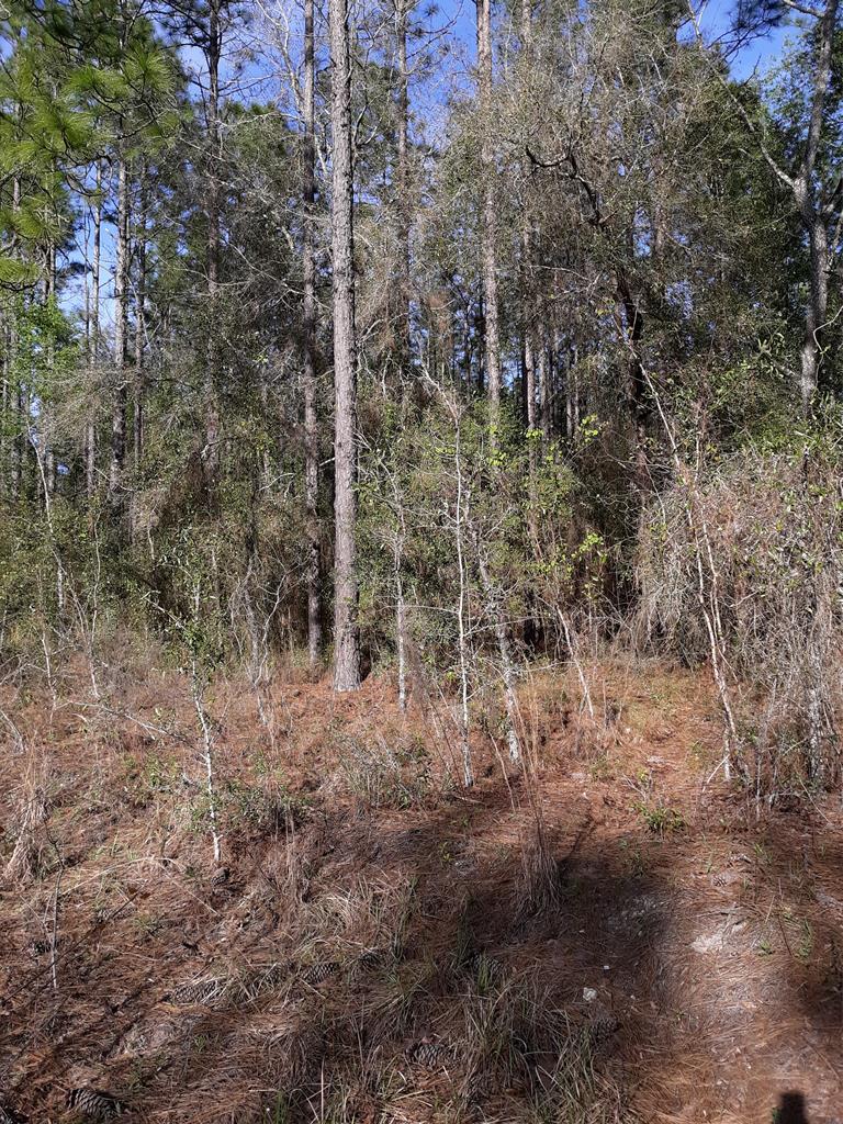 Lot 6 18th Terrace - Photo 1