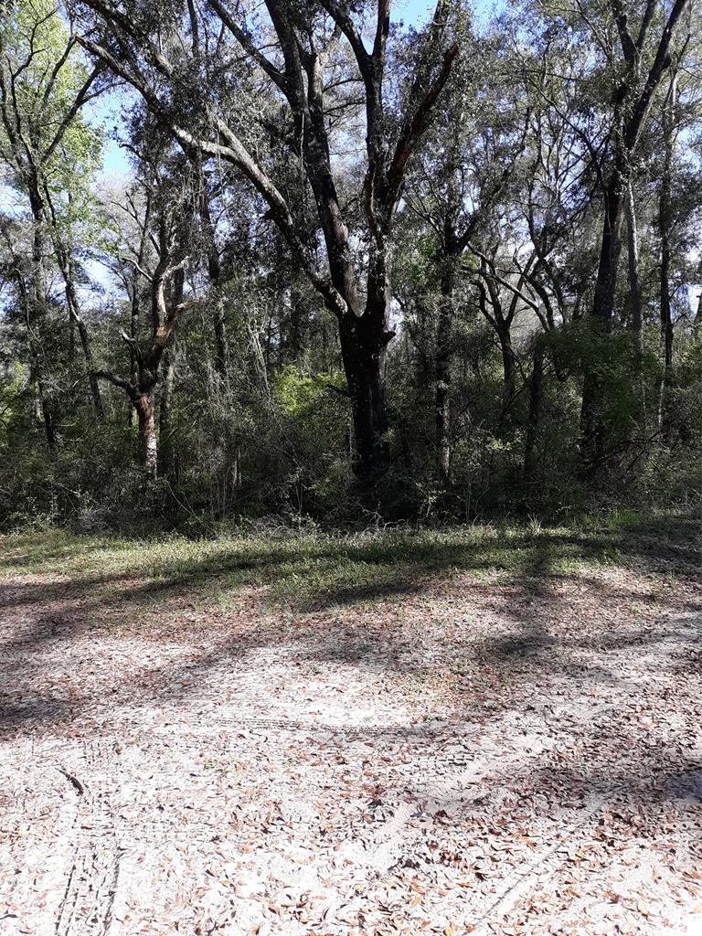 Lot 15 13th Lane - Photo 1