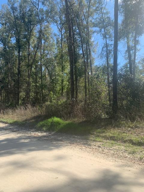 Lot 32 386th Ave - Photo 1