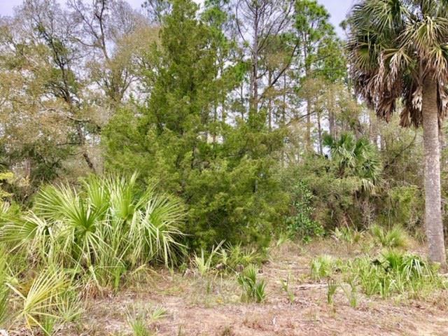 617 Hwy 51 - Photo 1