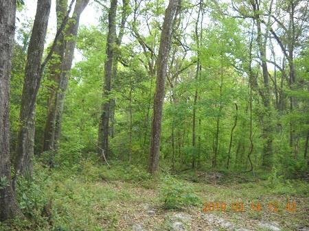 TBD 676th Lane - Photo 1