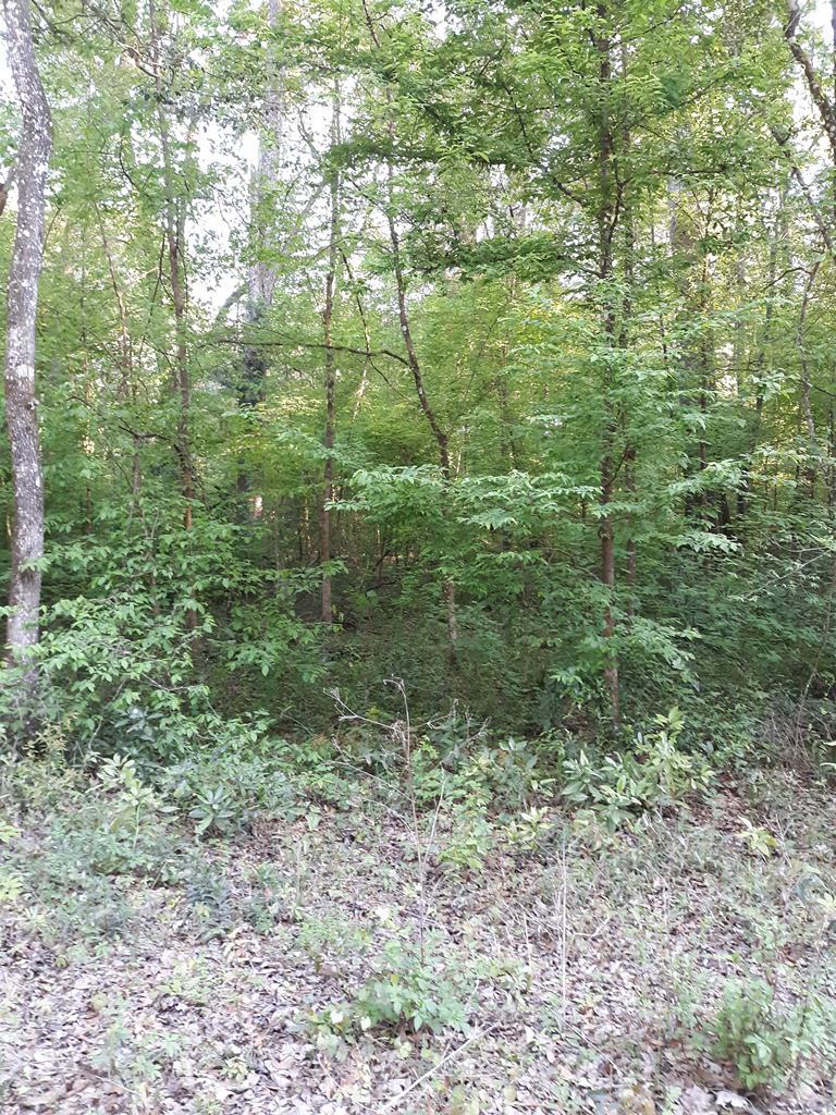 Lot 16 197th Ave - Photo 1 Lot 16 197th Ave - Photo 1