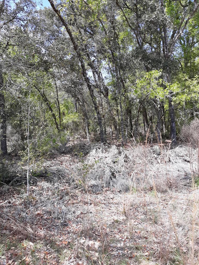 Lot 5 134th Terrace - Photo 1