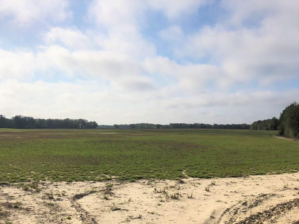 35.4 ac 10th St - Photo 1