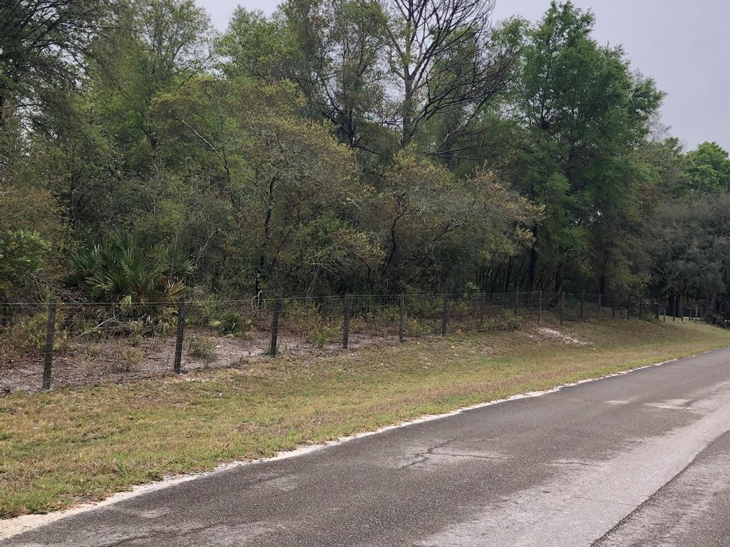 lot 41 680th Street - Photo 1