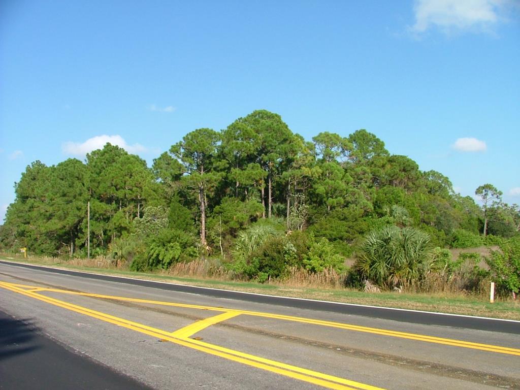 TBD State Rd 24 - Photo 1