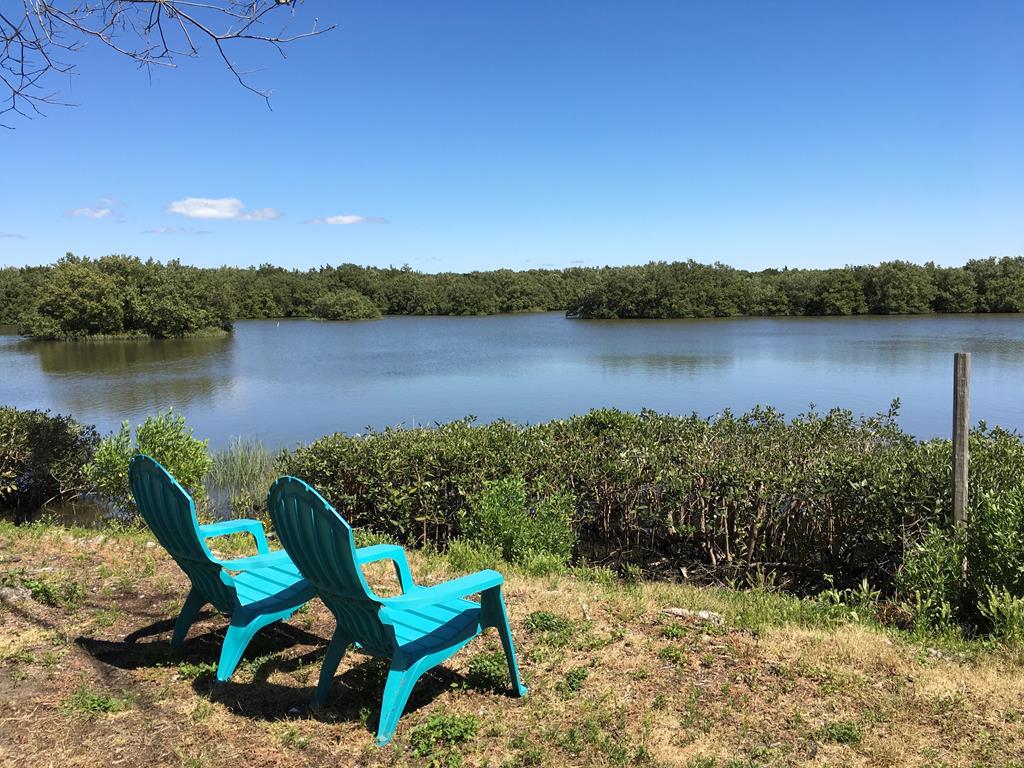12665 State Rd 24 - Photo 1