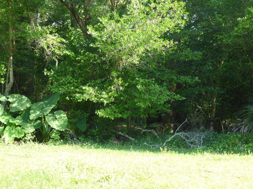 000 Partin Drive - Photo 1