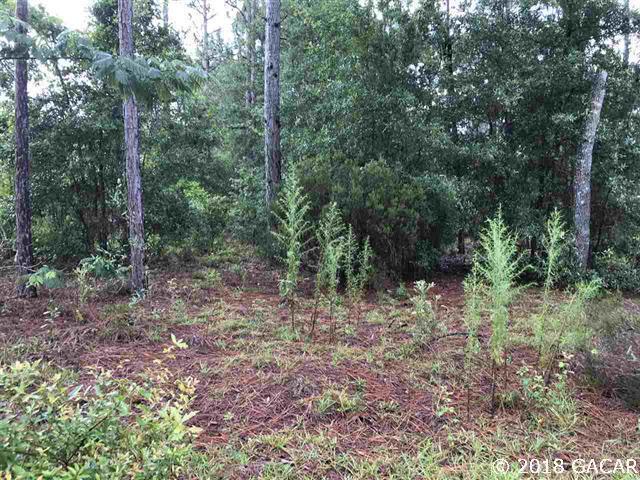 TBD 93rd Avenue - Photo 1