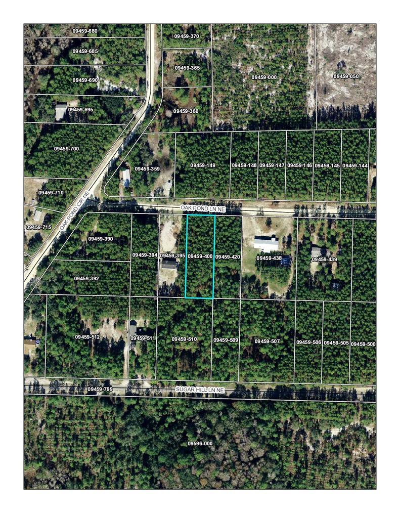 Oak Pond Lane - Photo 1