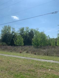 COM/RES Us Hwy 19 - Photo 1