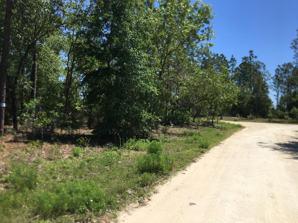 Ne 45th Place - Photo 1
