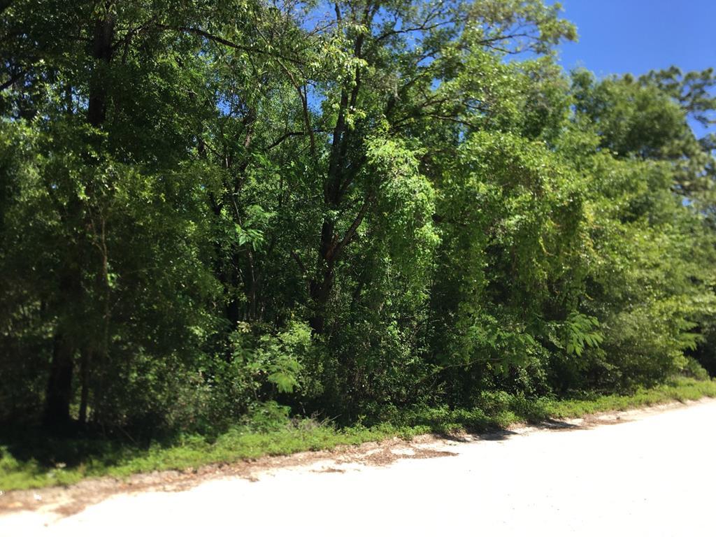 Ne 67th Lane - Photo 1