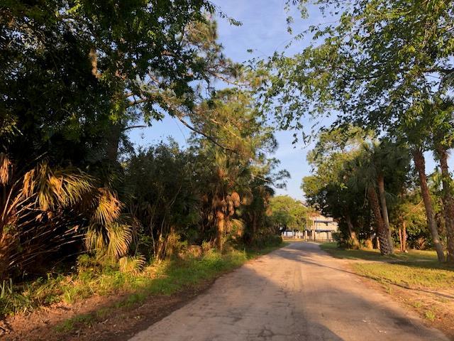 Central Avenue - Photo 1