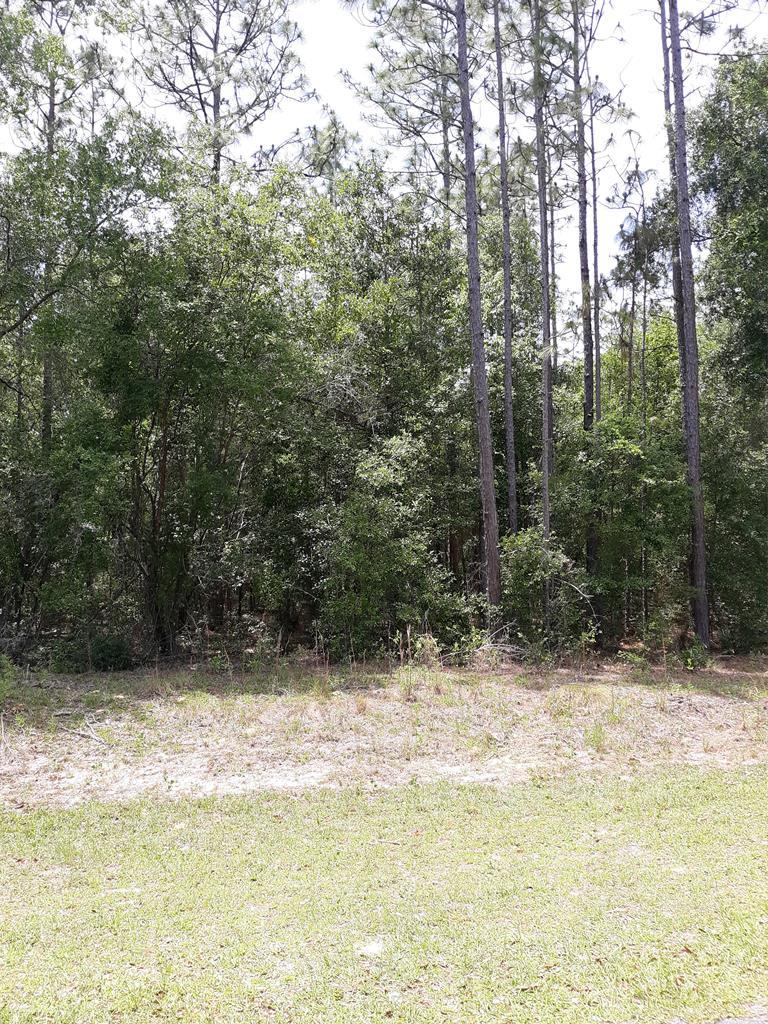 Lot 113 835th Street - Photo 1
