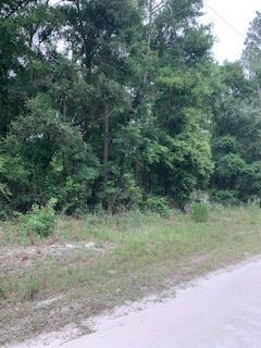 Lot 20 356th Ave - Photo 1