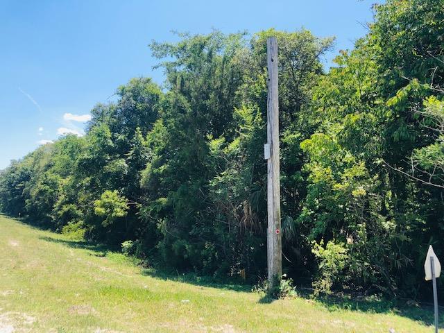 349 Highway - Photo 1 349 Highway - Photo 1