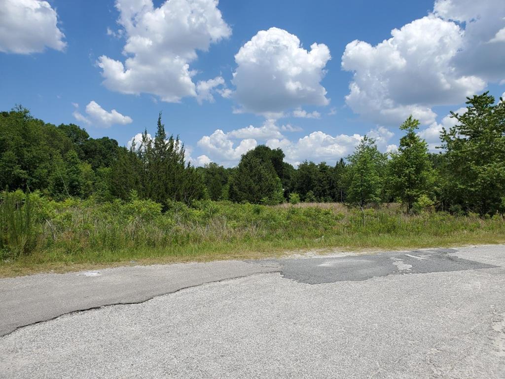 Young Blvd - Photo 1