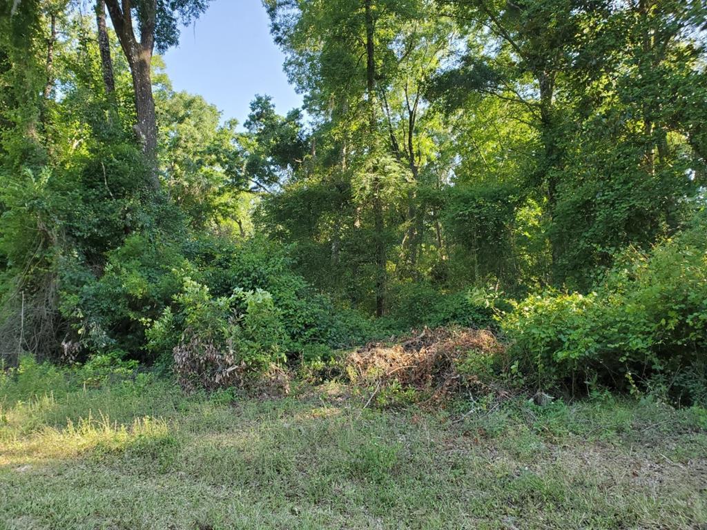 85th Place - Photo 1