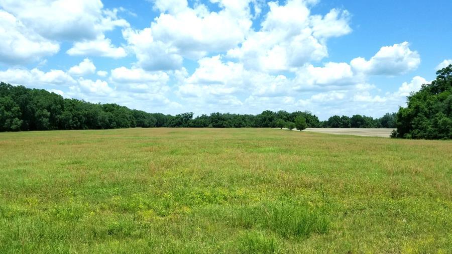 TBD 86th Lane - Photo 1